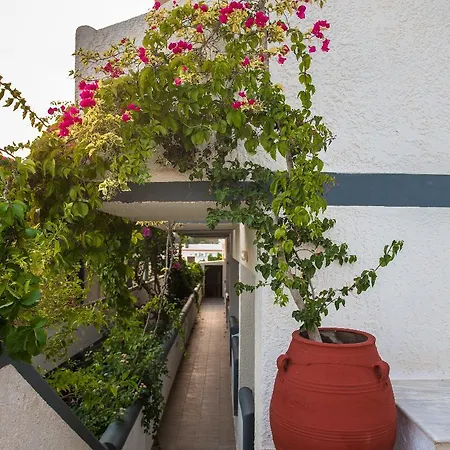 Fevro Hotel 2*