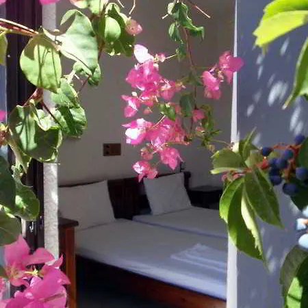 Hotel Fevro